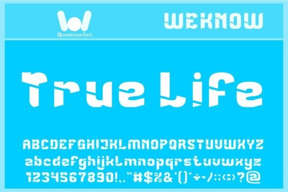 True Life Font for a Polished Brand Identity